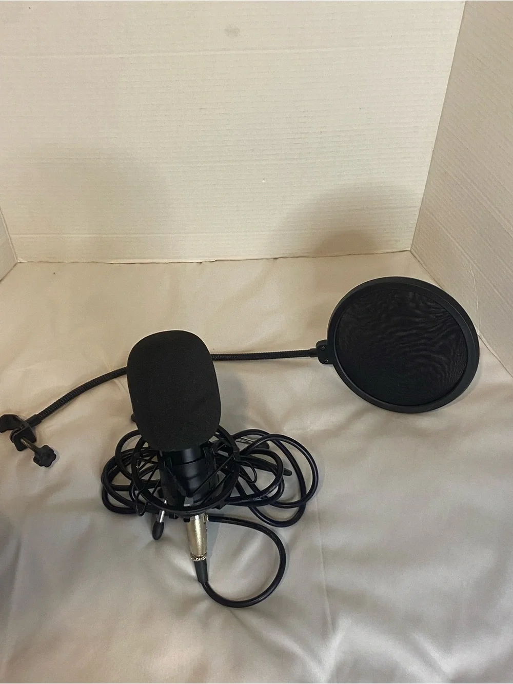 Black Studio Microphone with Pop Filter - Professional Recording Mic